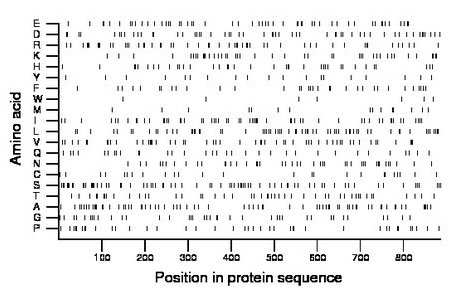 amino acid map