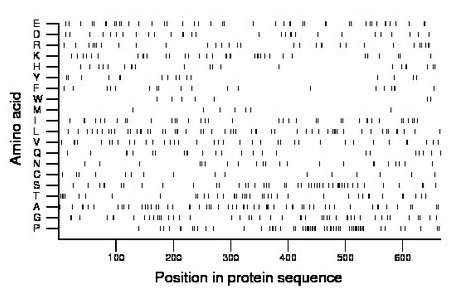 amino acid map