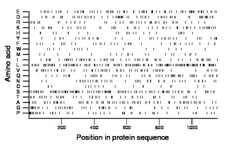 amino acid map