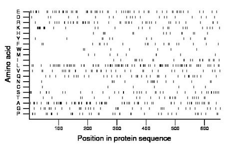 amino acid map