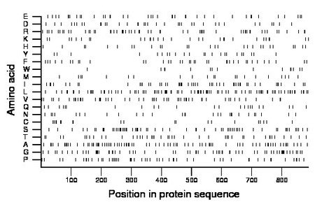 amino acid map