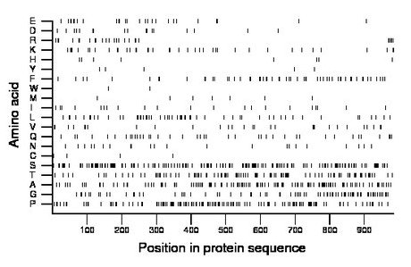 amino acid map