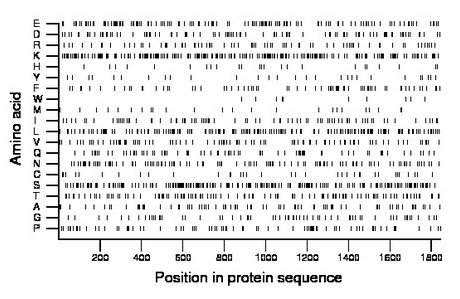 amino acid map