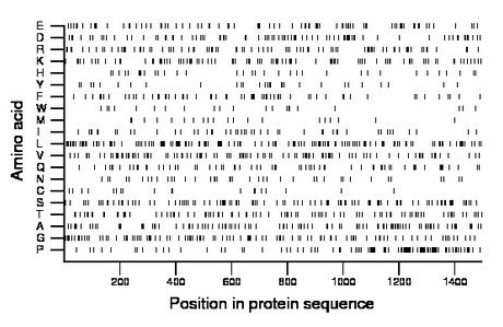 amino acid map