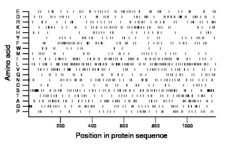 amino acid map