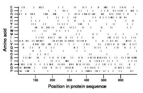 amino acid map