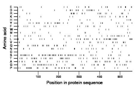 amino acid map