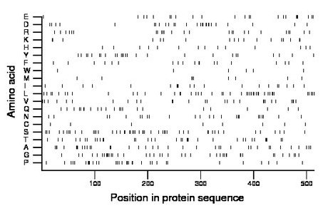 amino acid map