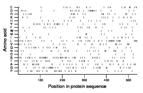 amino acid map