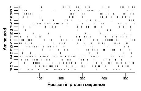 amino acid map