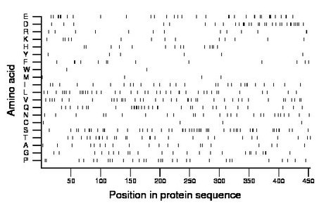 amino acid map