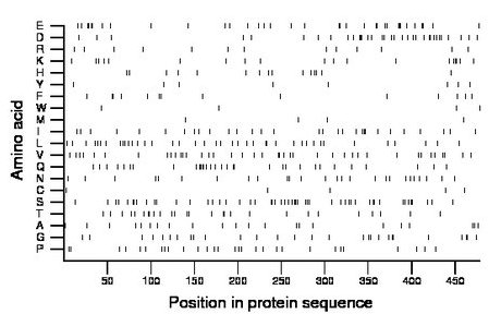 amino acid map