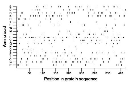 amino acid map