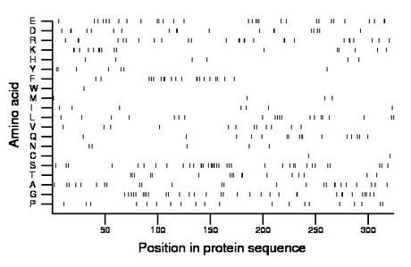 amino acid map