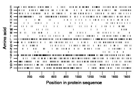 amino acid map