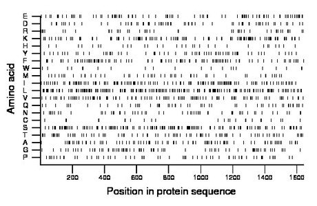 amino acid map