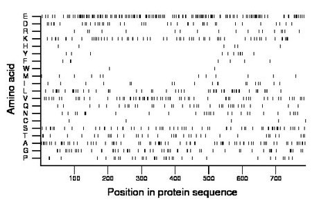 amino acid map