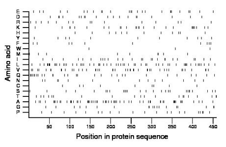 amino acid map