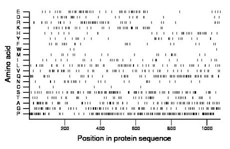 amino acid map