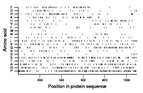 amino acid map