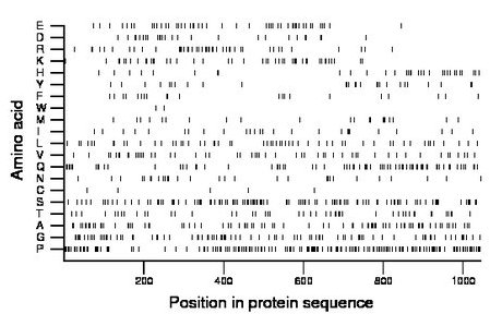 amino acid map