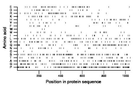 amino acid map