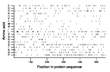 amino acid map