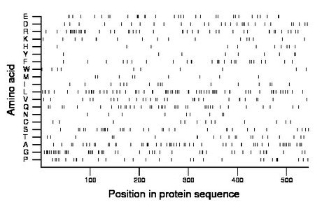 amino acid map