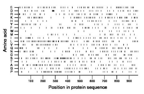 amino acid map