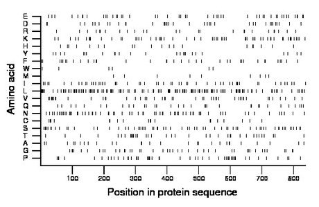 amino acid map