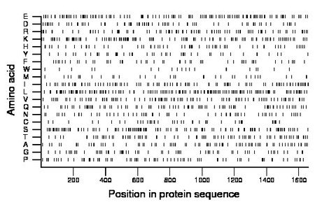 amino acid map