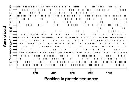 amino acid map