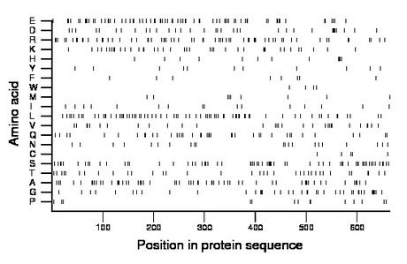 amino acid map