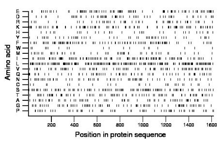 amino acid map