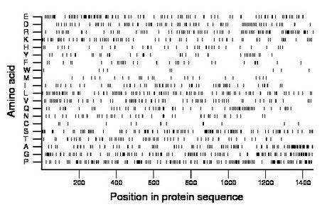 amino acid map