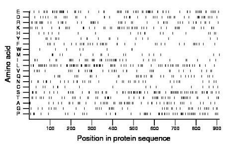 amino acid map