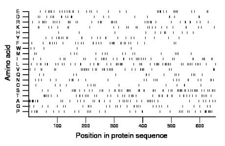 amino acid map