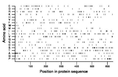 amino acid map