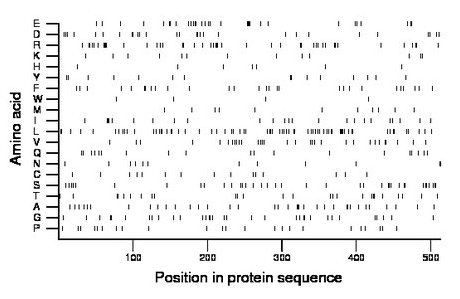 amino acid map