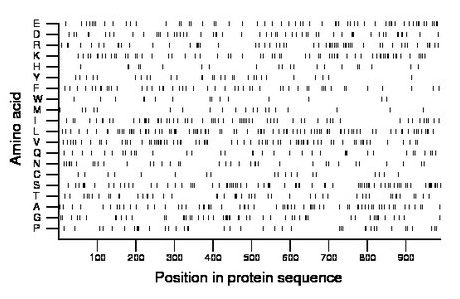 amino acid map