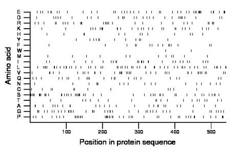 amino acid map