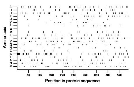 amino acid map