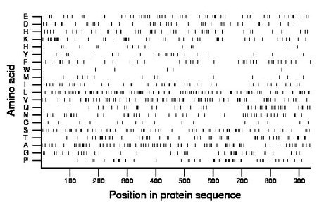 amino acid map