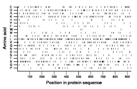 amino acid map