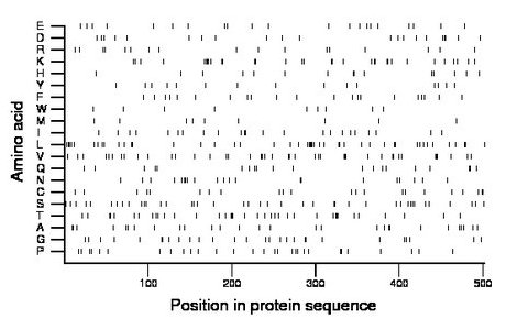 amino acid map