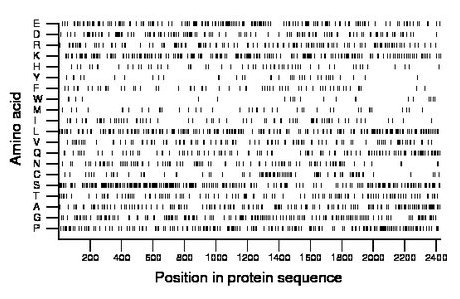 amino acid map