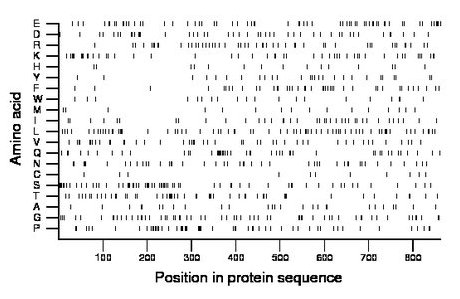 amino acid map