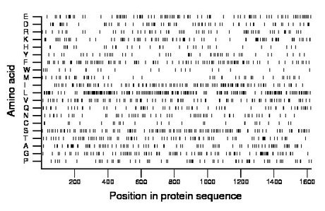 amino acid map