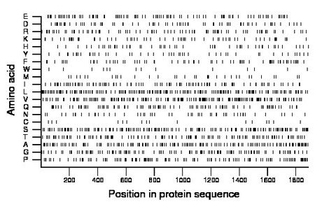 amino acid map