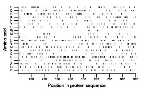 amino acid map